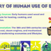 Impacts of Energy Transfers & Transformations - Image 4